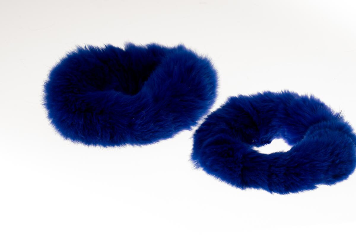 Blue Rex Rabbit