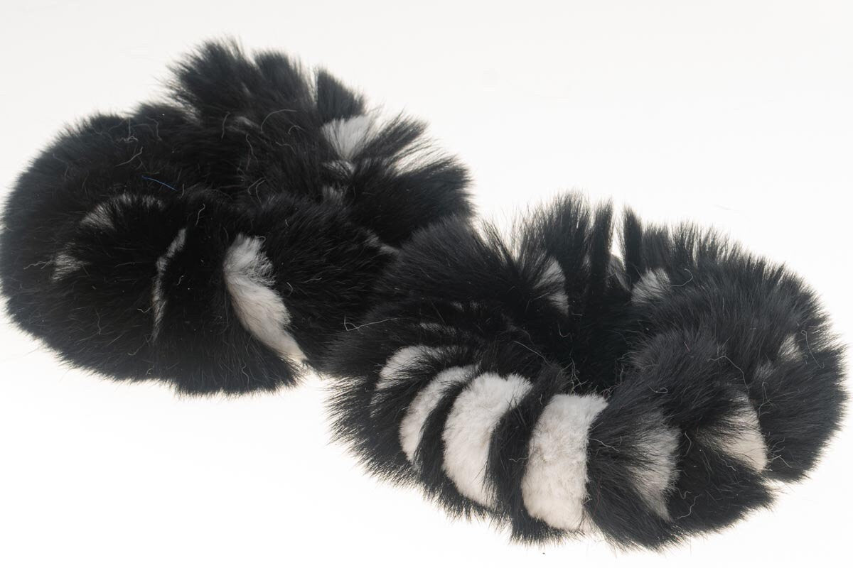 Black White Rex Rabbit