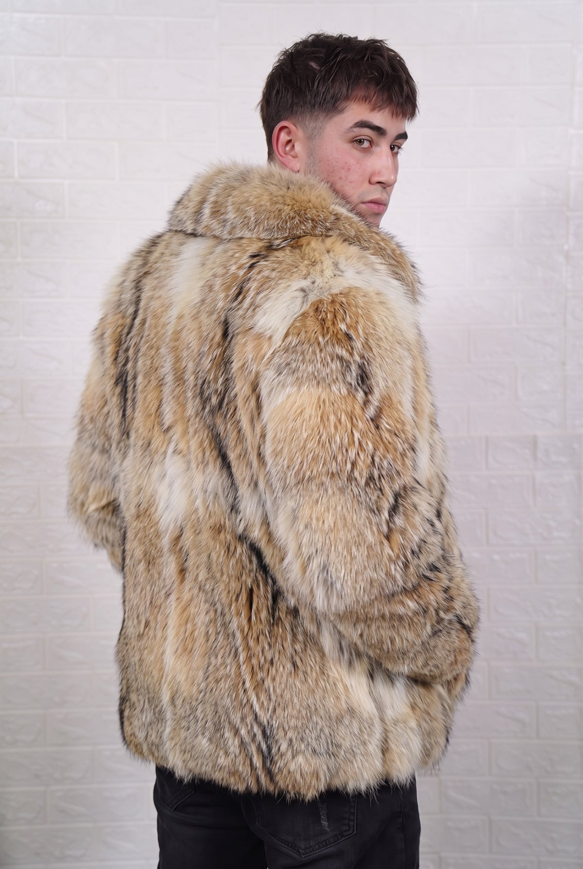 coyote fur jacket men three-quarter back view over the shoulder displaying warm golden tan with cream and dark-tipped guard hairs coyote fur — Greek craftsmanship, TatiFurs