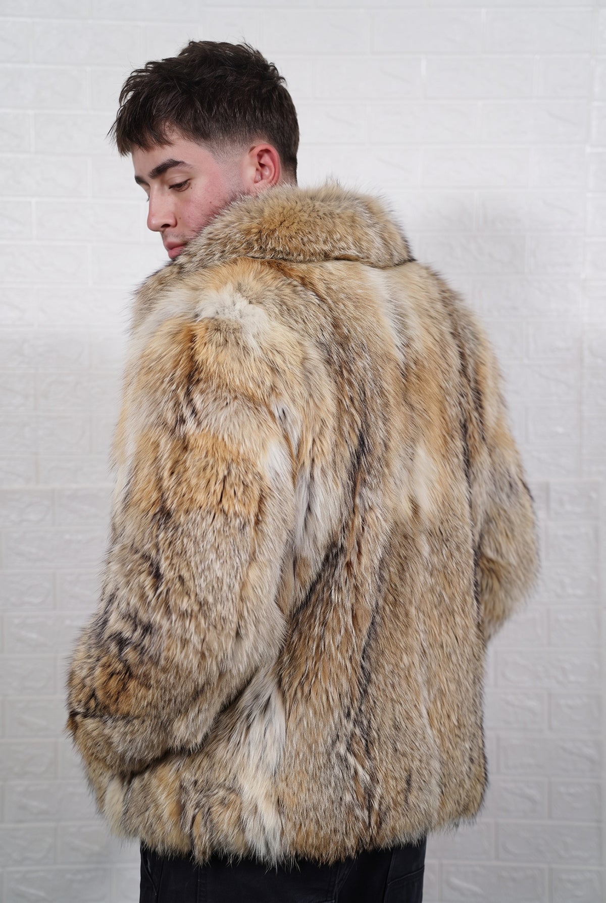 coyote fur jacket men back three-quarter view with collar turned up showing mid-length silhouette in warm golden tan with cream and dark-tipped guard hairs coyote fur — Greek craftsmanship, TatiFurs