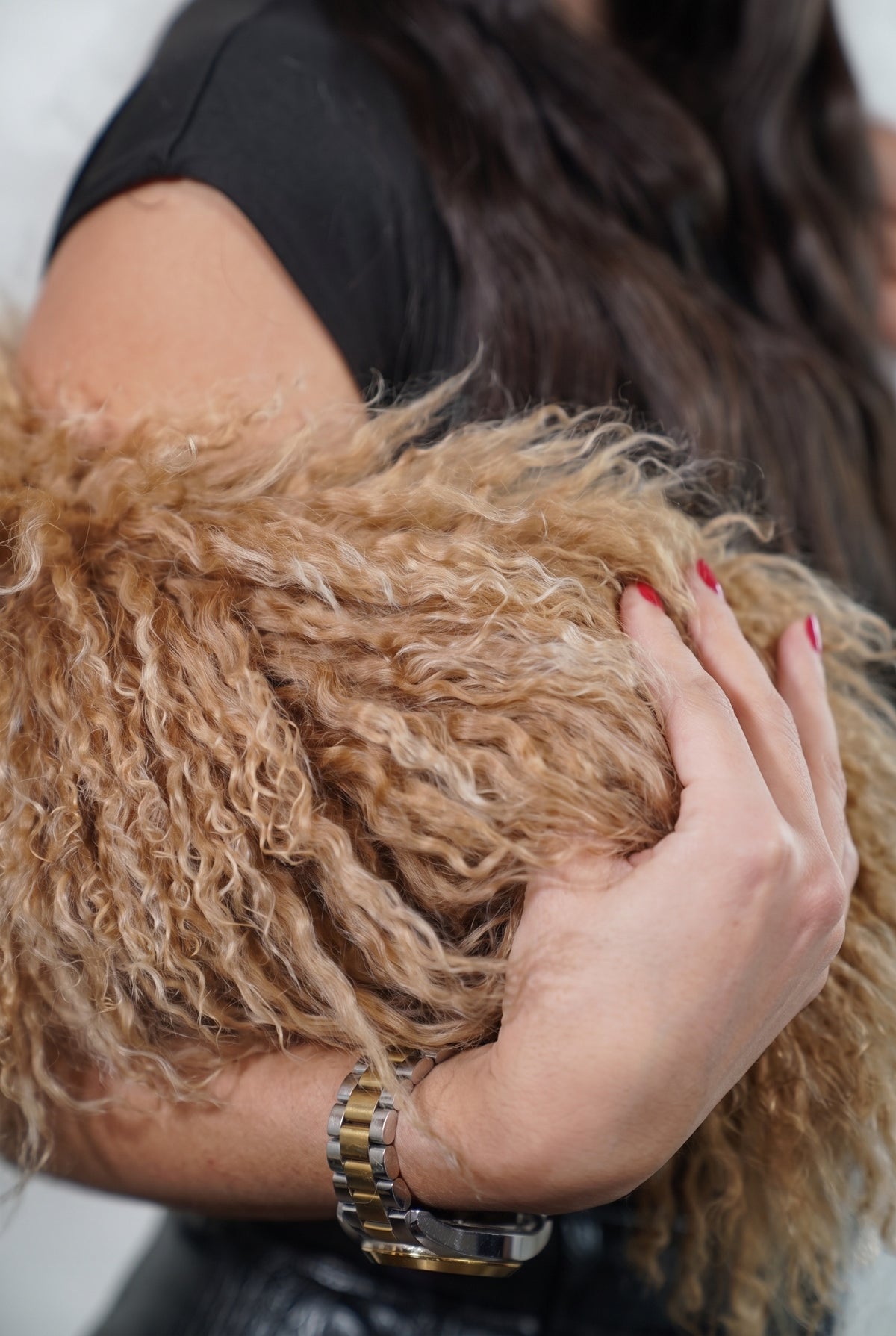 Mongolian Sheepskin Collar Camel — Curly Lamb Fur close-up of the dense warm natural camel Tibetan lamb curls held in the hand — TatiFurs