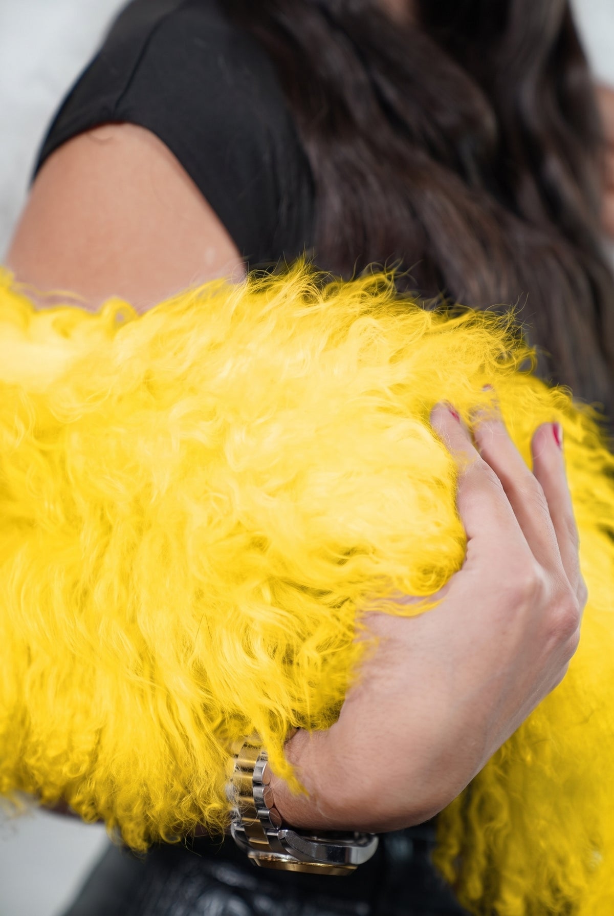 Mongolian Sheepskin Collar Yellow — Curly Lamb Fur close-up of the dense warm sunflower yellow Tibetan lamb curls held in the hand — TatiFurs