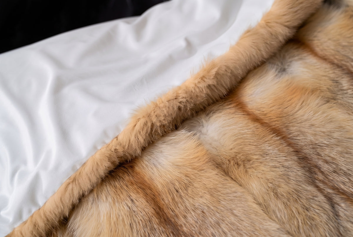 Fox Fur Blanket Throw Golden Island — Full Skin Saga Furs edge turned over to show the soft lining behind the honey-gold Golden Island full skin fox fur — TatiFurs
