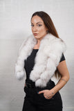 Smooth fox fur collar with dense, long fur