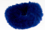 Blue Rex Rabbit