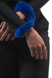 Blue Rex Rabbit