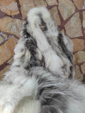 Fur scarves, fur scarf womens, fox fur scarf, fur collar